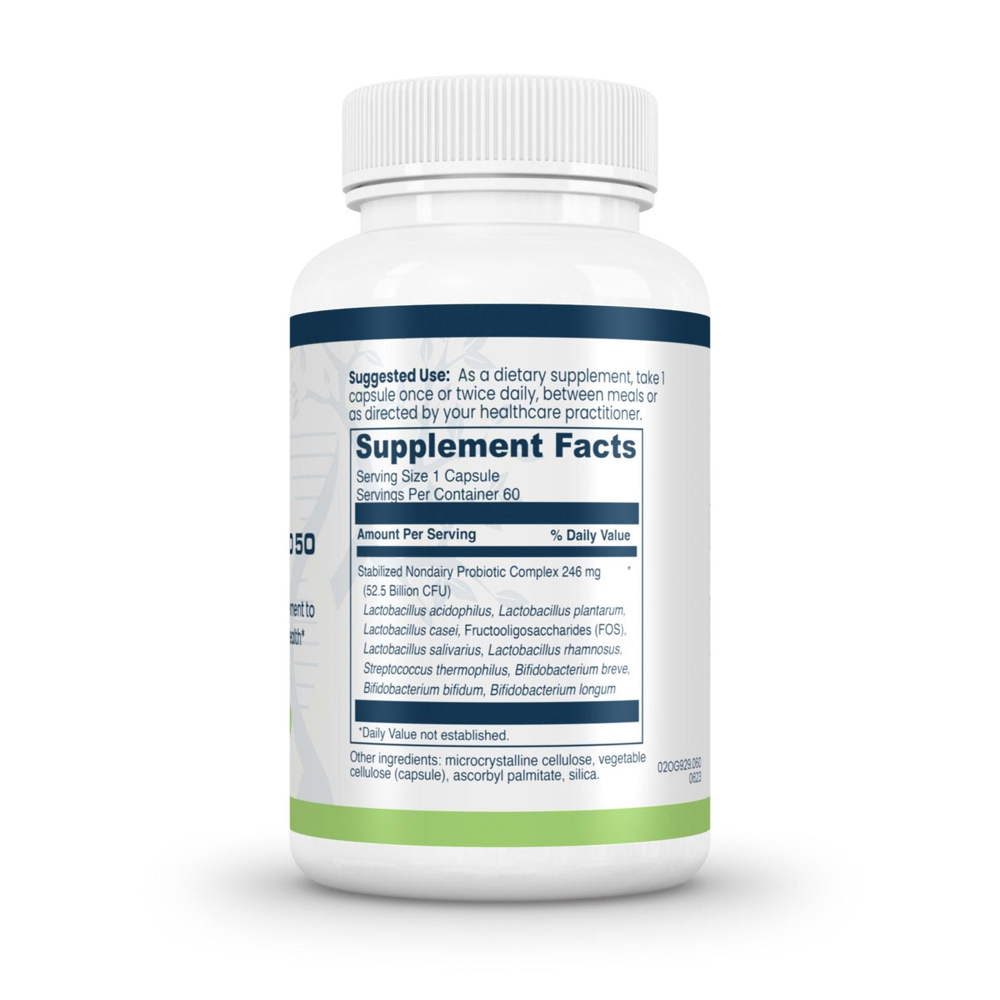 Active Probiotic ND 50 – High-Potency Non-Dairy Gut & Immune Support